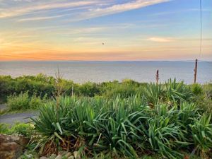 View- click for photo gallery